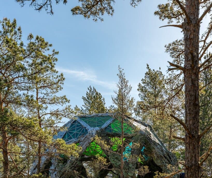 cristina iglesias grows a luminous northern lights dome from stockholm’s forest bedrock